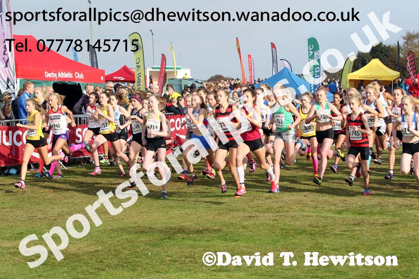 Girls under-15s, National Cross Country Relays, Berry Park, Mansfield. Photo: David T. Hewitson/Sports for All Pics